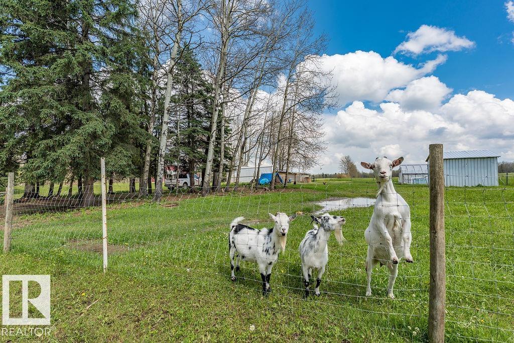 470047 Rge Road 35, Rural Wetaskiwin County, Alberta  T0C 2X0 - Photo 2 - E4508682