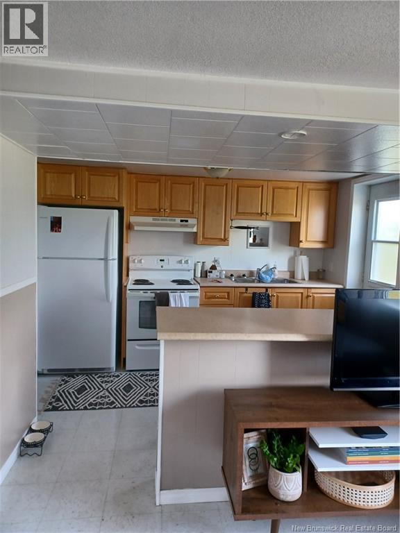 30560 Route 134, Mcleods, New Brunswick  E3N 5W3 - Photo 38 - NB147448