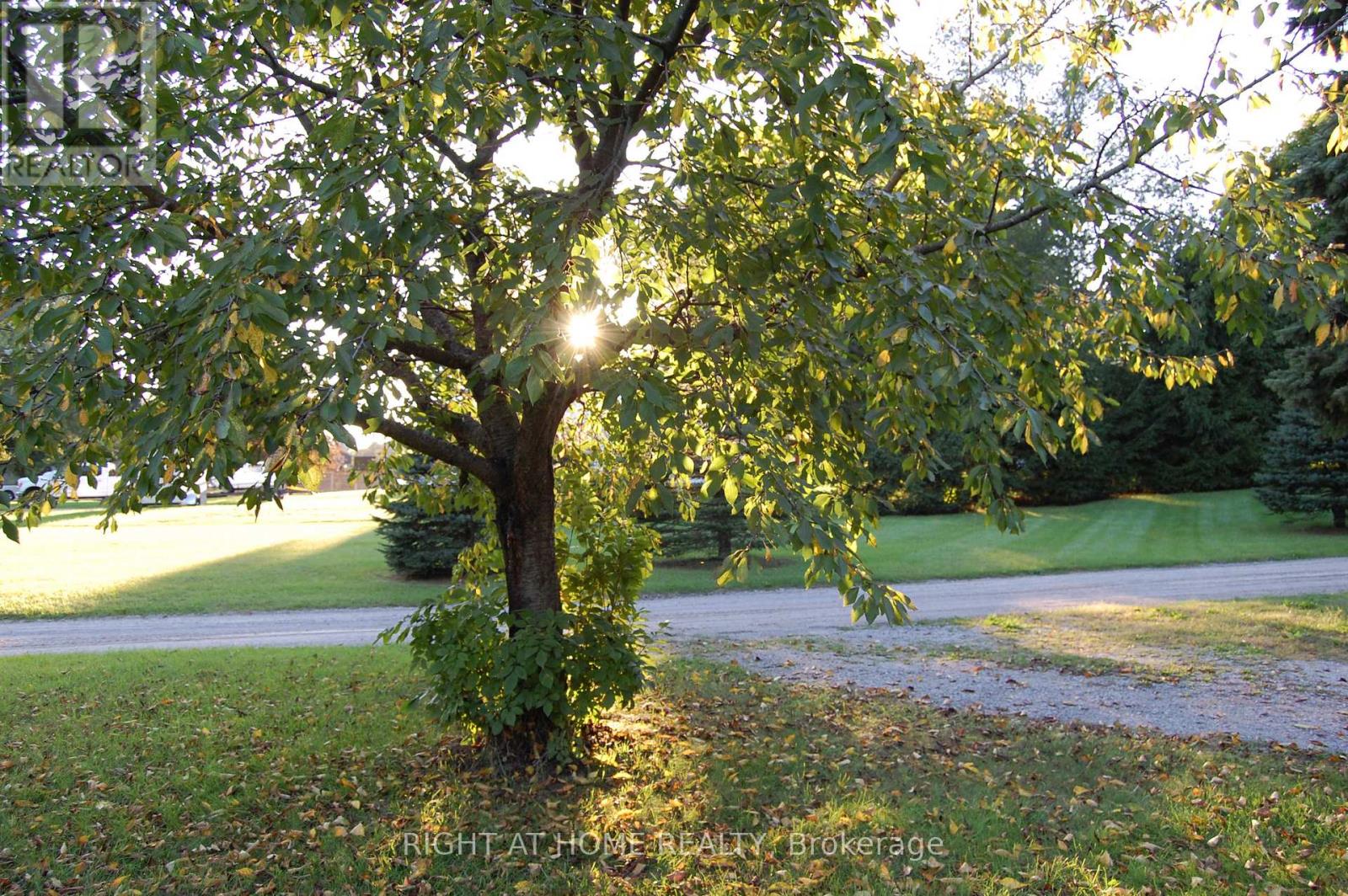 393 Canboro Road, Pelham, Ontario L0S 1M0 - Photo 24 - X13783238