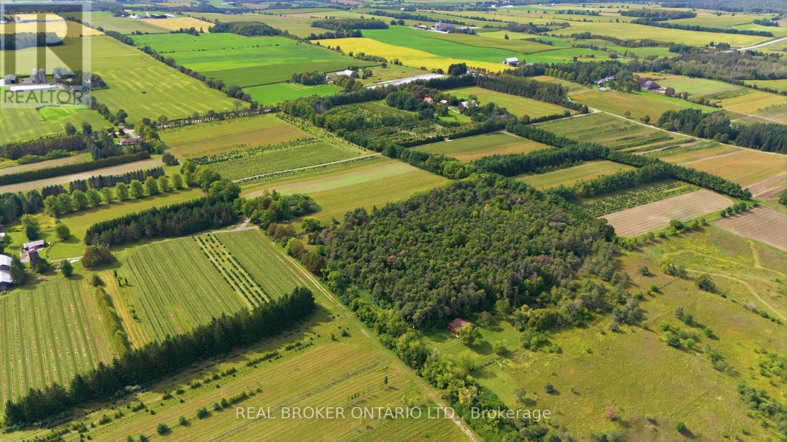 10329 Regional Rd No 1, Uxbridge, Ontario  L9P 1R3 - Photo 7 - N13778588