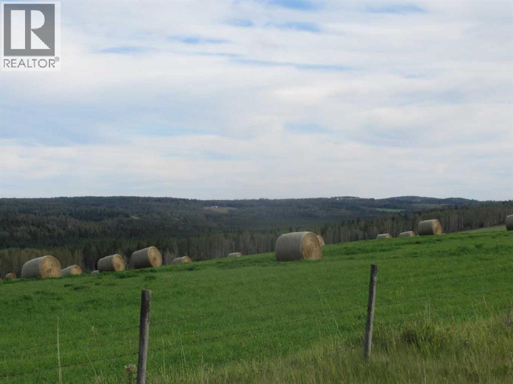 414012 Range Road 6-2, Rural Clearwater County, Alberta  T4T 2A1 - Photo 9 - A2344448