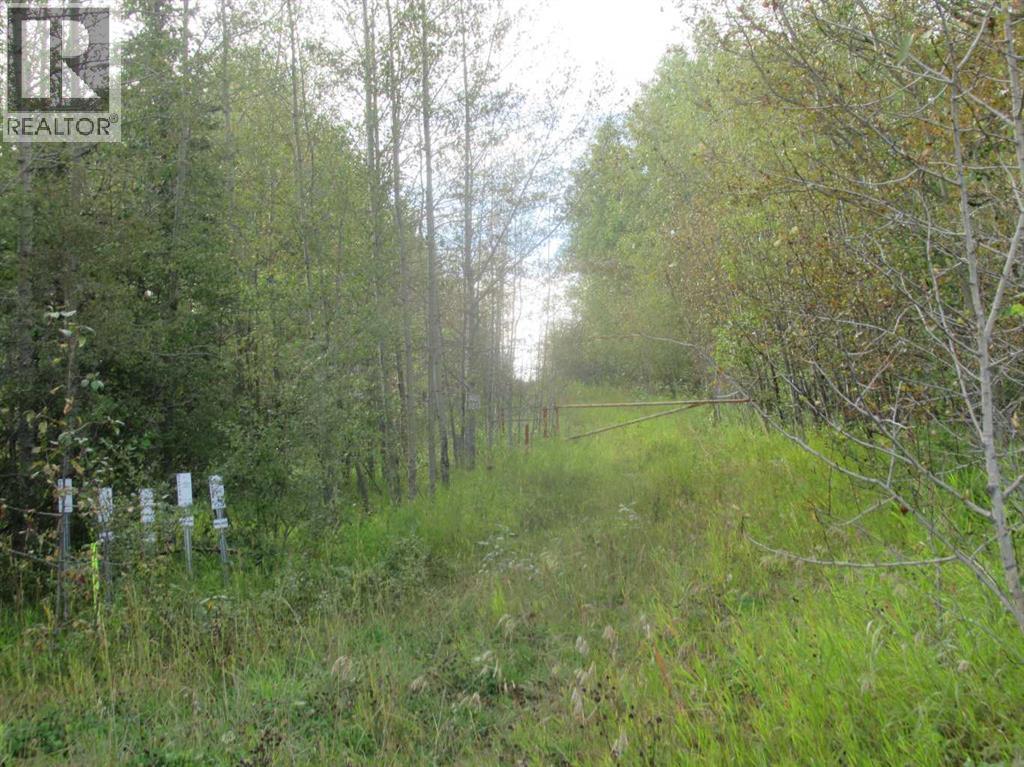 414012 Range Road 6-2, Rural Clearwater County, Alberta  T4T 2A1 - Photo 8 - A2344448