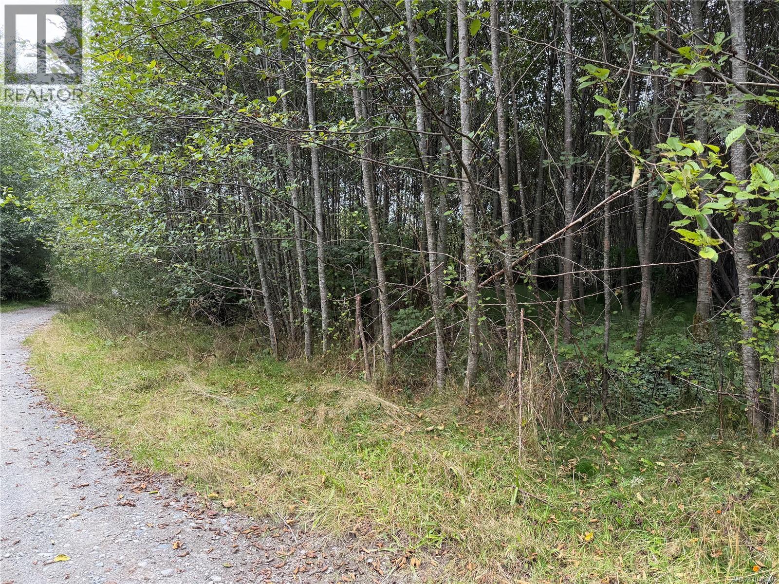 1841 Mine Rd, Port Mcneill, British Columbia  V0N 2R0 - Photo 7 - 1048406