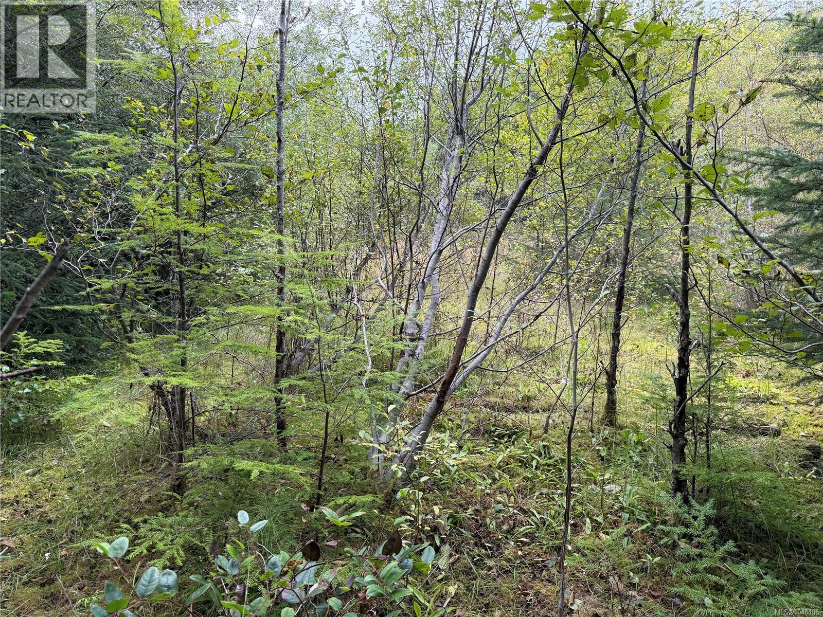1841 Mine Rd, Port Mcneill, British Columbia  V0N 2R0 - Photo 10 - 1048406