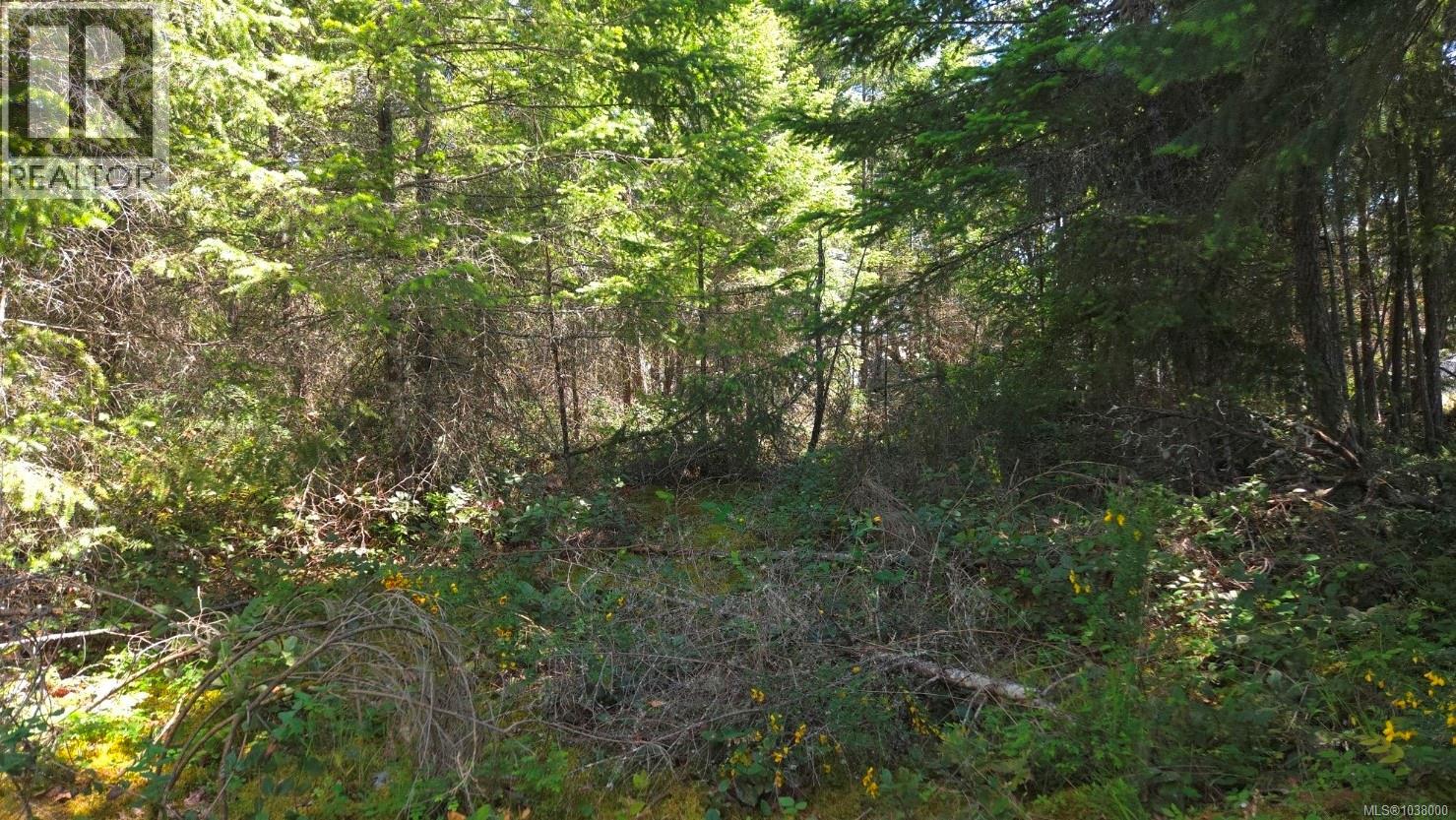 1154 Industrial Way, Parksville, British Columbia  V9P 2W8 - Photo 9 - 1038000