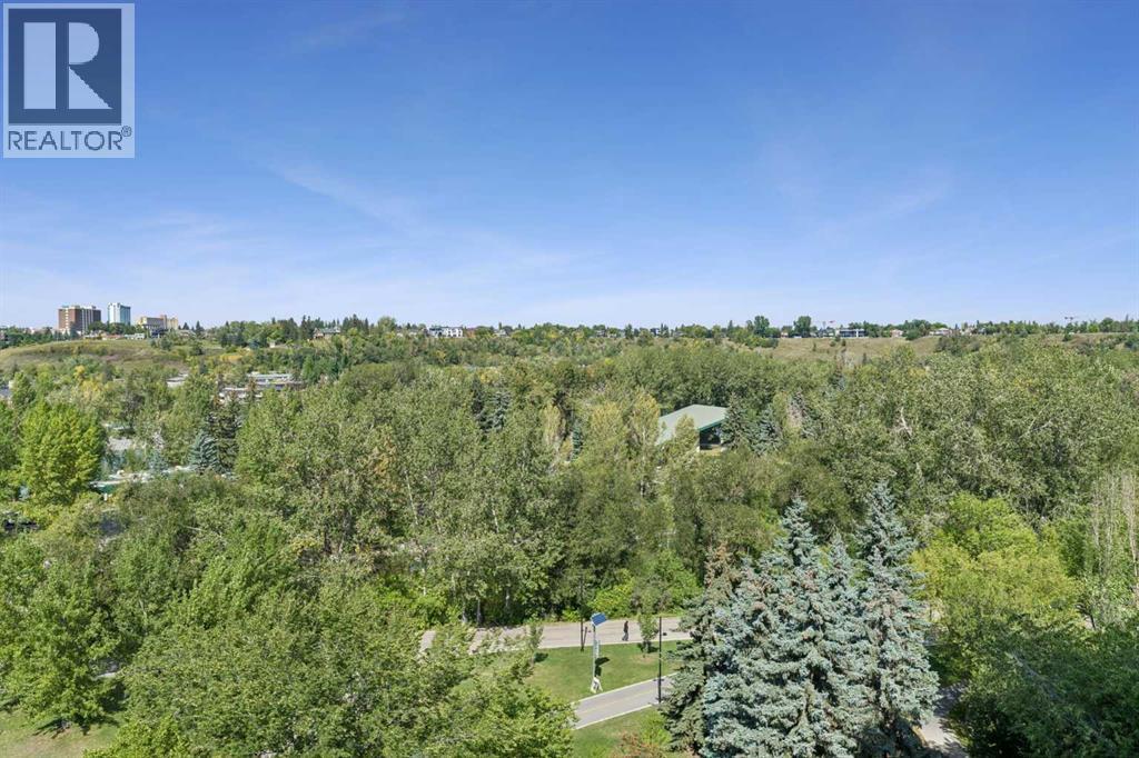 802, 690 Princeton Way SW, Calgary, Alberta  T2P 5J9 - Photo 27 - A2343025