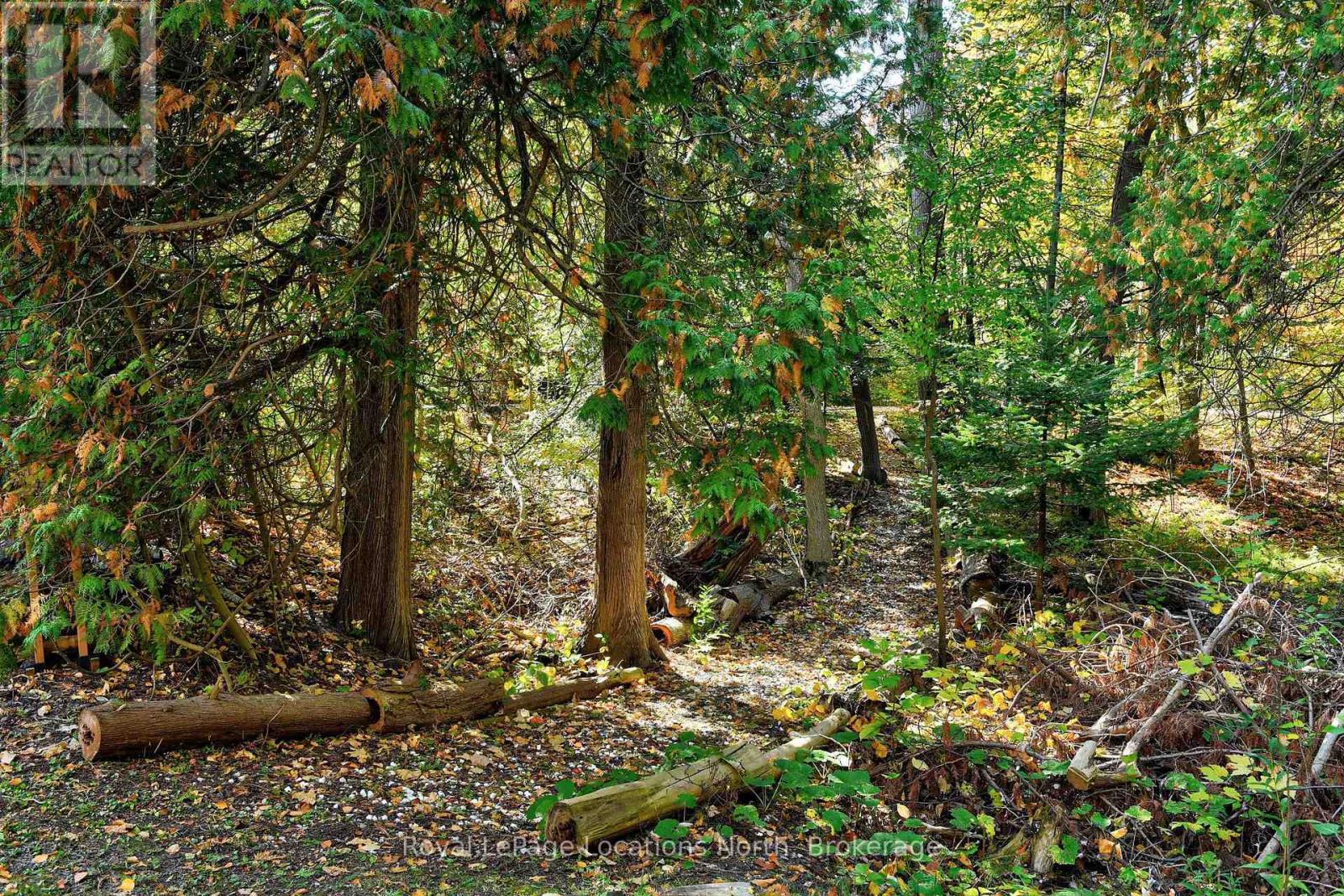 208554 26 Highway, Blue Mountains, Ontario  N0H 1J0 - Photo 39 - X13783738