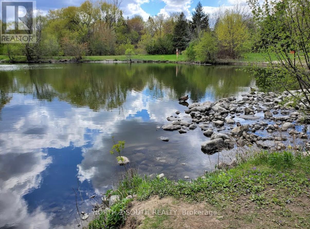 319 Glen Shields Avenue, Vaughan, Ontario  L4K 1T4 - Photo 38 - N13778984