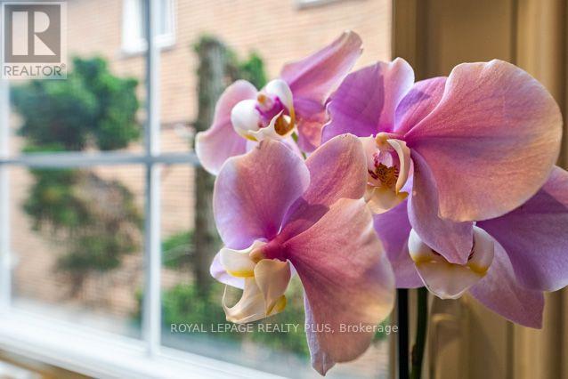 3362 Aubrey Road, Mississauga, Ontario  L5L 5E1 - Photo 14 - W13783782