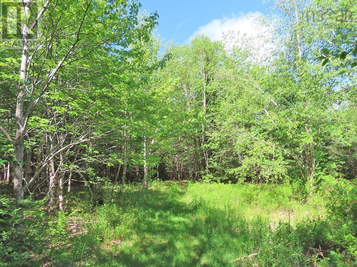 131 Acres West Side Road, West Side Country Harbour, Nova Scotia  B0H 1J0 - Photo 17 - 202623284