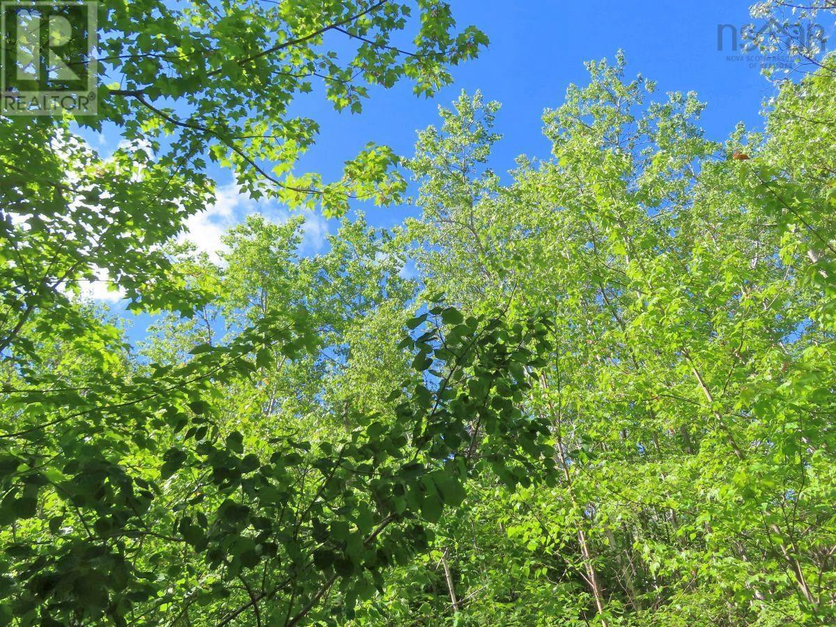 131 Acres West Side Road, West Side Country Harbour, Nova Scotia  B0H 1J0 - Photo 18 - 202623284