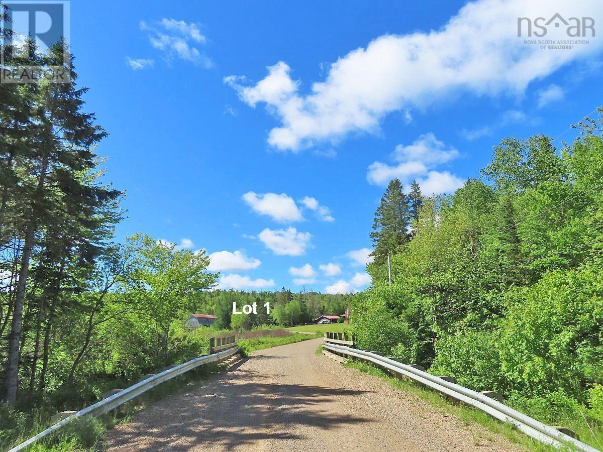 131 Acres West Side Road, West Side Country Harbour, Nova Scotia  B0H 1J0 - Photo 28 - 202623284