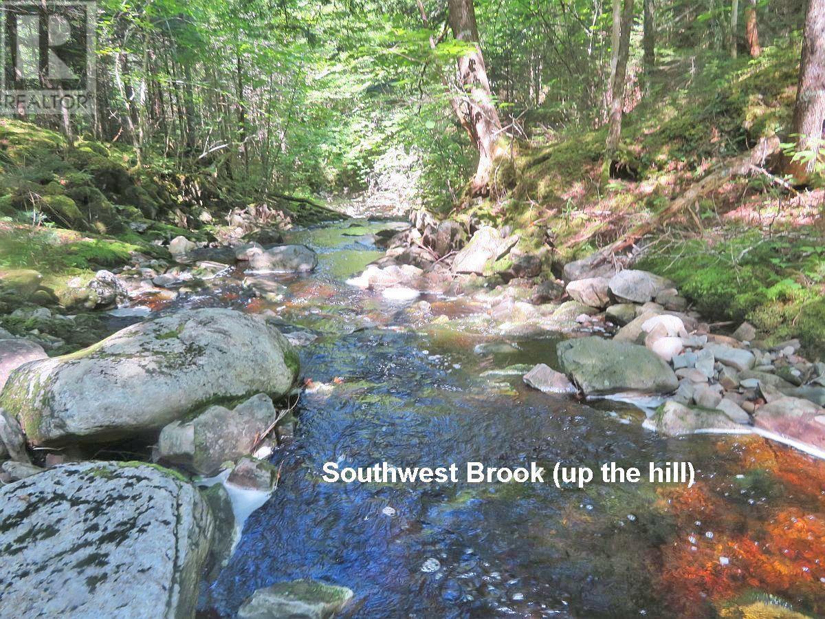 131 Acres West Side Road, West Side Country Harbour, Nova Scotia  B0H 1J0 - Photo 30 - 202623284