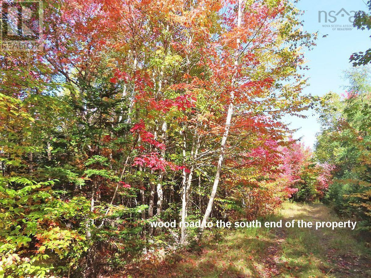 131 Acres West Side Road, West Side Country Harbour, Nova Scotia  B0H 1J0 - Photo 31 - 202623284