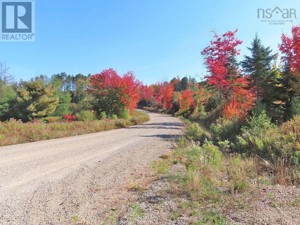 131 Acres West Side Road, West Side Country Harbour, Nova Scotia  B0H 1J0 - Photo 37 - 202623284