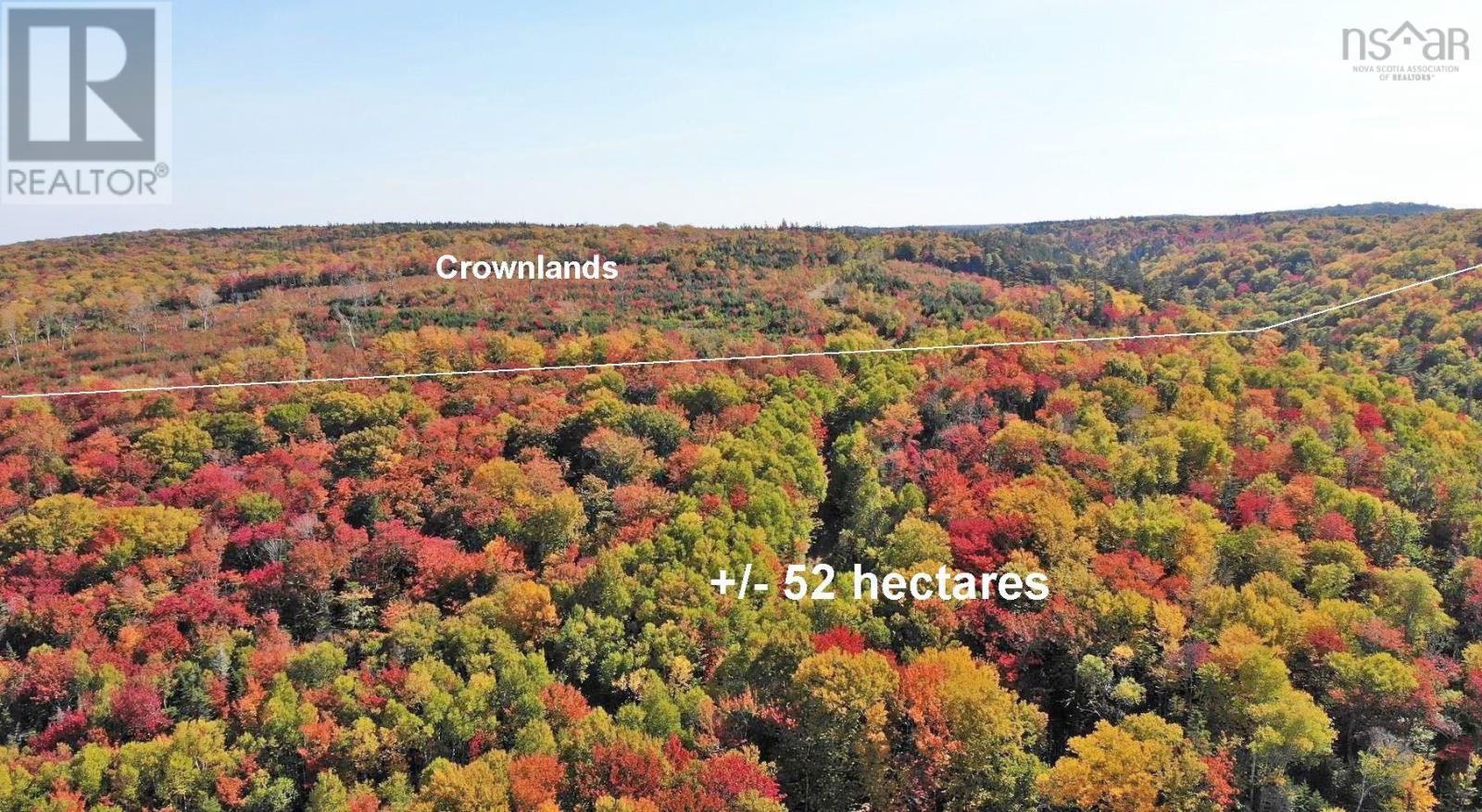 131 Acres West Side Road, West Side Country Harbour, Nova Scotia  B0H 1J0 - Photo 39 - 202623284