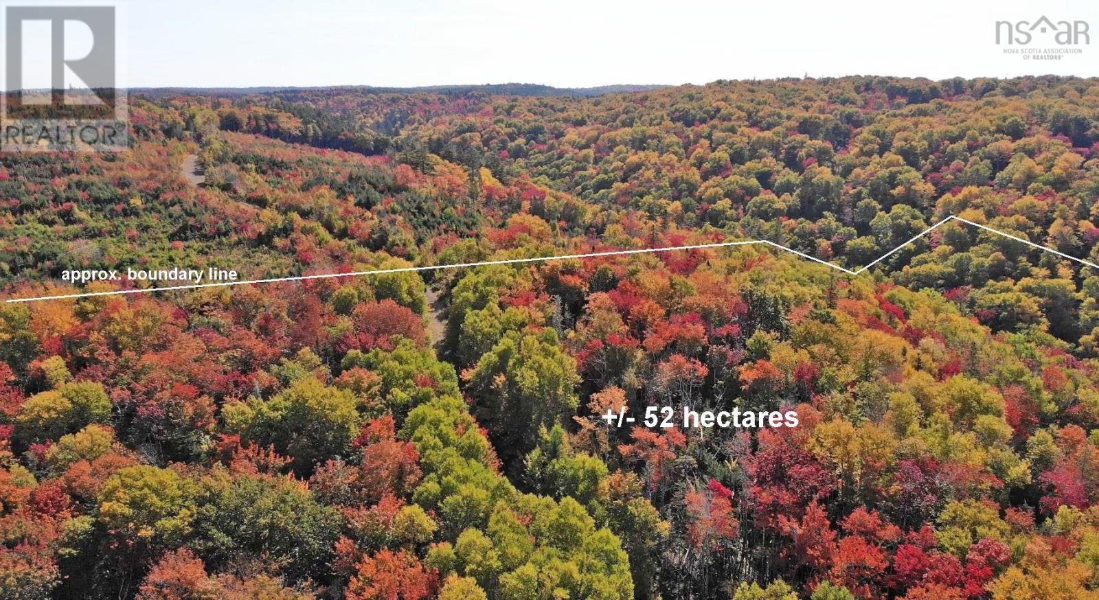 131 Acres West Side Road, West Side Country Harbour, Nova Scotia  B0H 1J0 - Photo 40 - 202623284