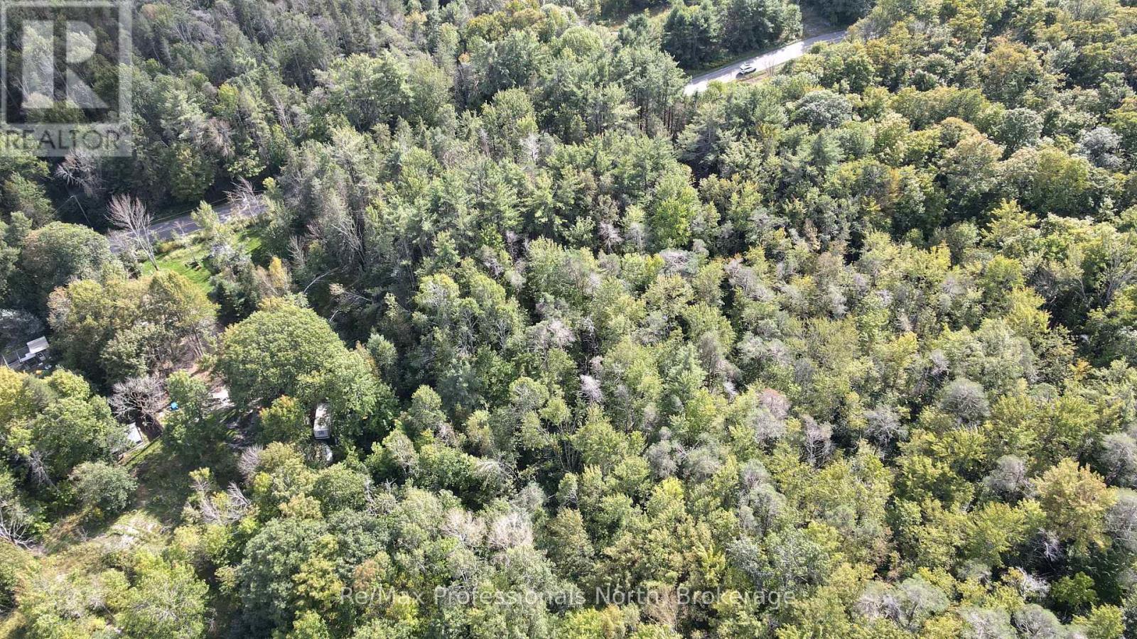 1268 Moon River Road, Muskoka Lakes, Ontario  L0K 1E0 - Photo 10 - X13783826
