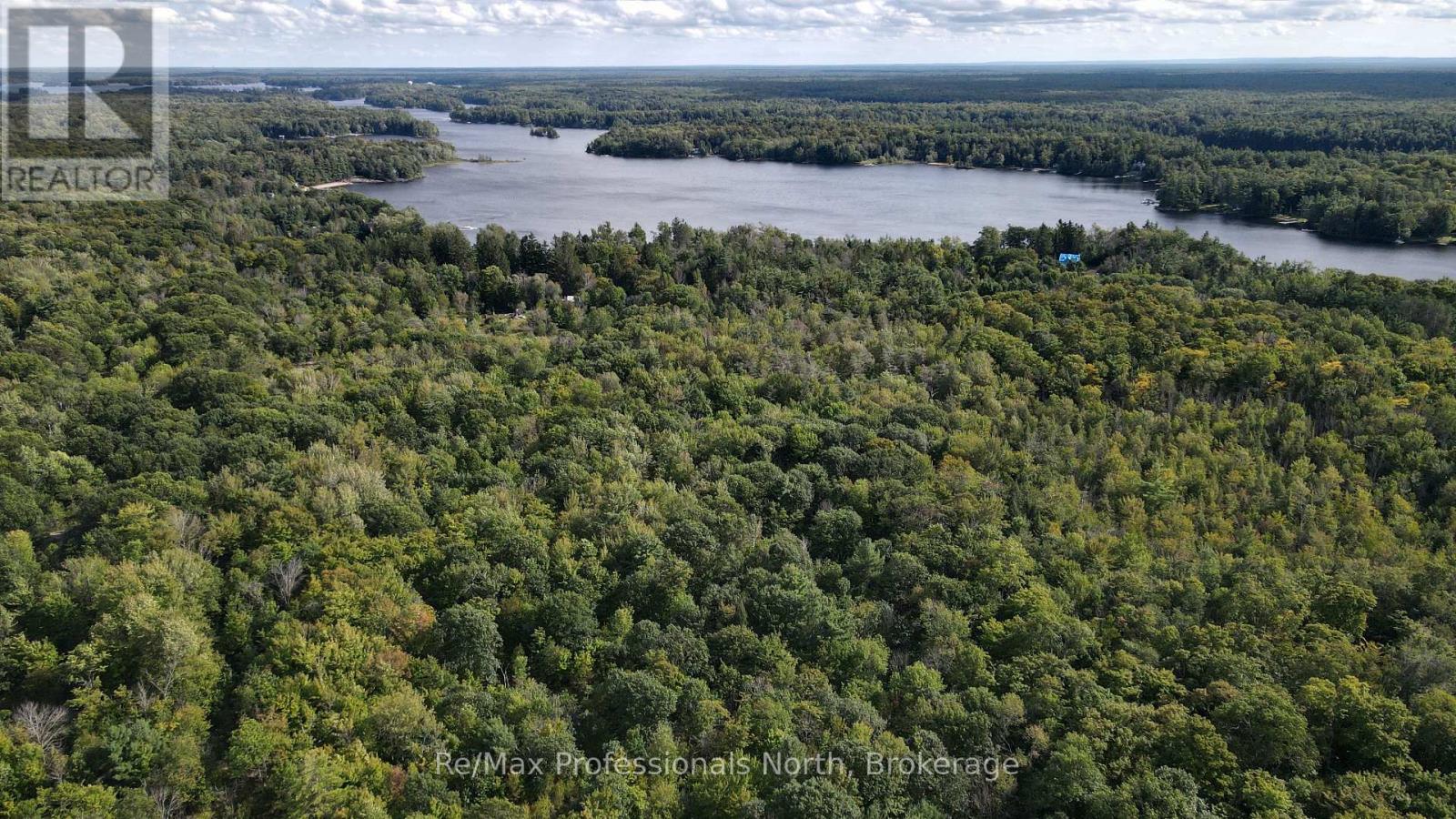 1268 Moon River Road, Muskoka Lakes, Ontario  L0K 1E0 - Photo 3 - X13783826