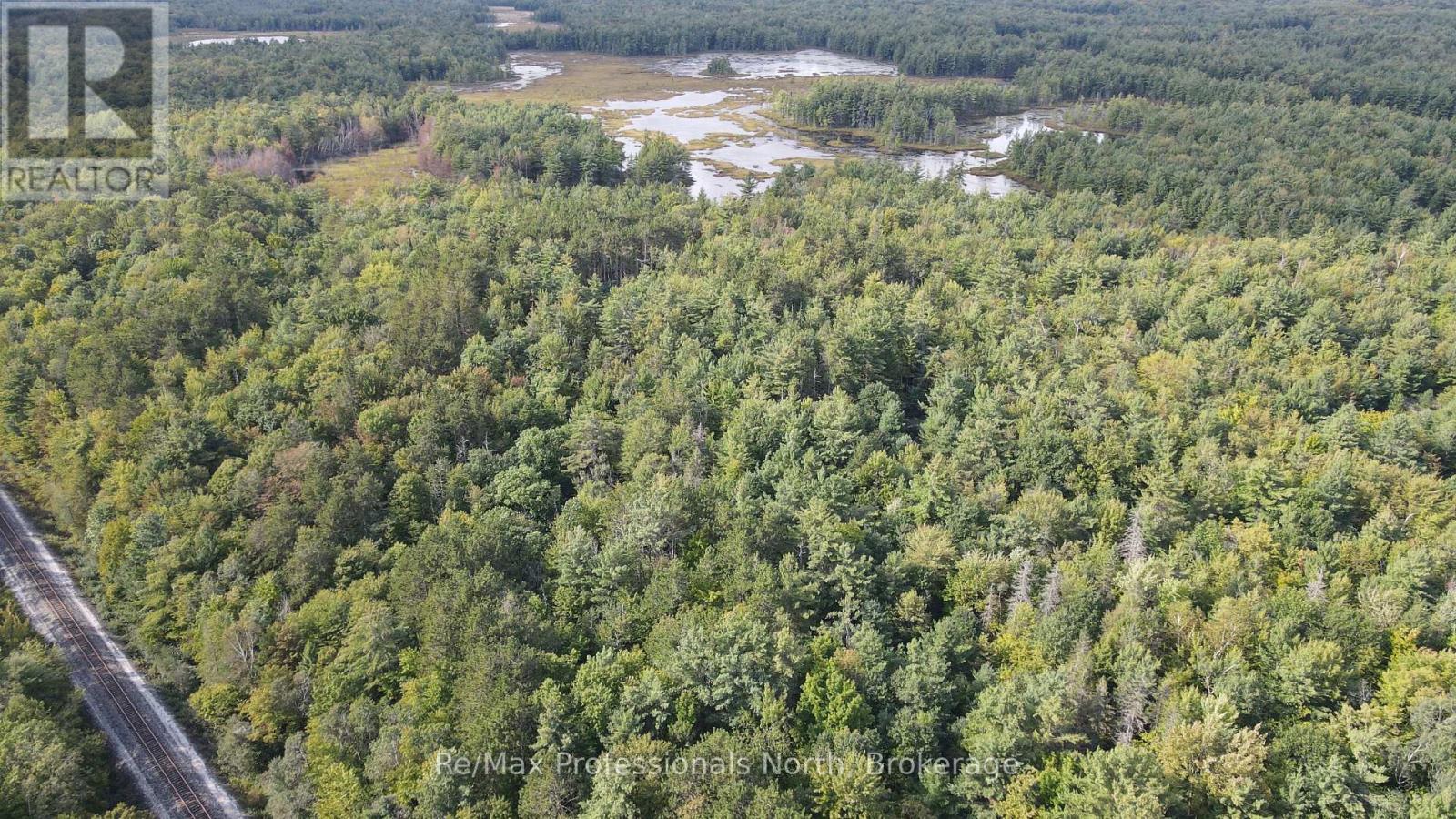 1268 Moon River Road, Muskoka Lakes, Ontario  L0K 1E0 - Photo 5 - X13783826