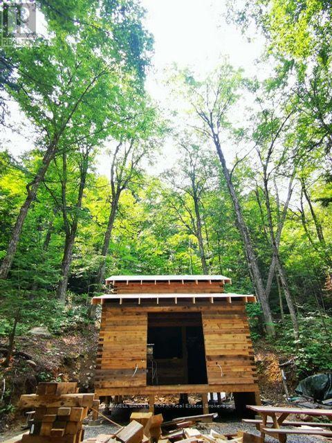 1759 Chandler Drive, Dysart Et Al, Ontario  K0M 1S0 - Photo 18 - X13746538