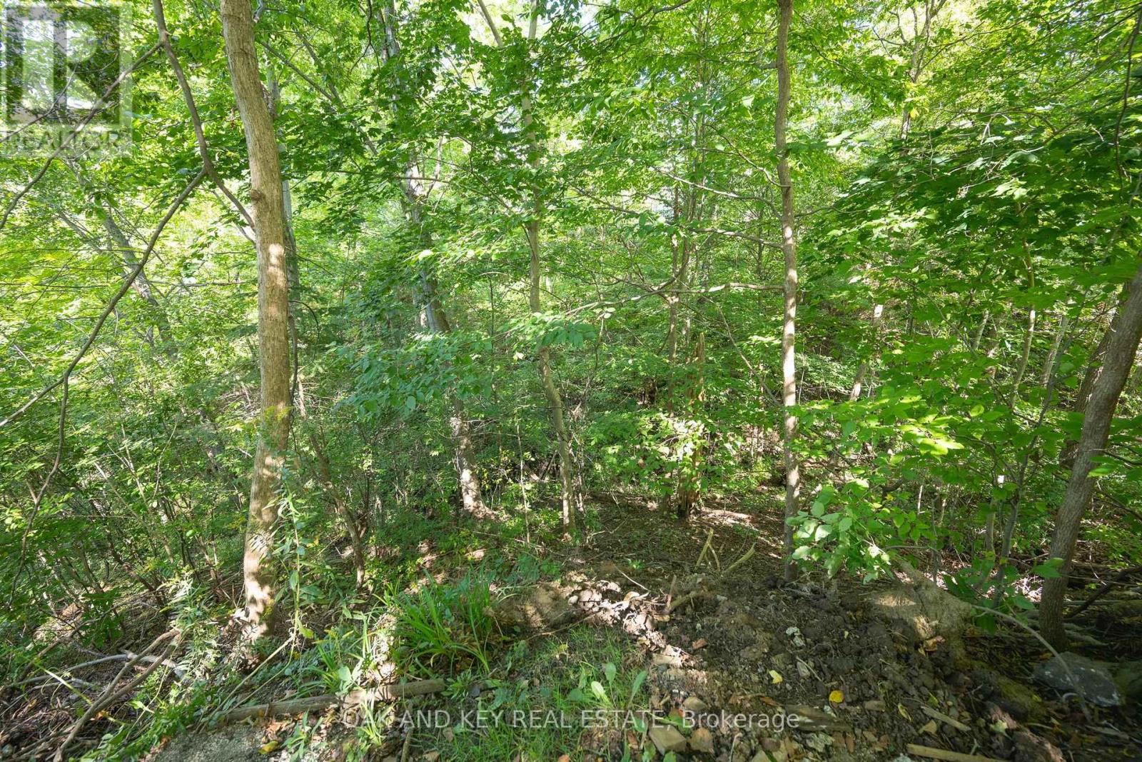 102 Crescent Avenue, Central Elgin, Ontario  N5R 0L4 - Photo 38 - X13784672