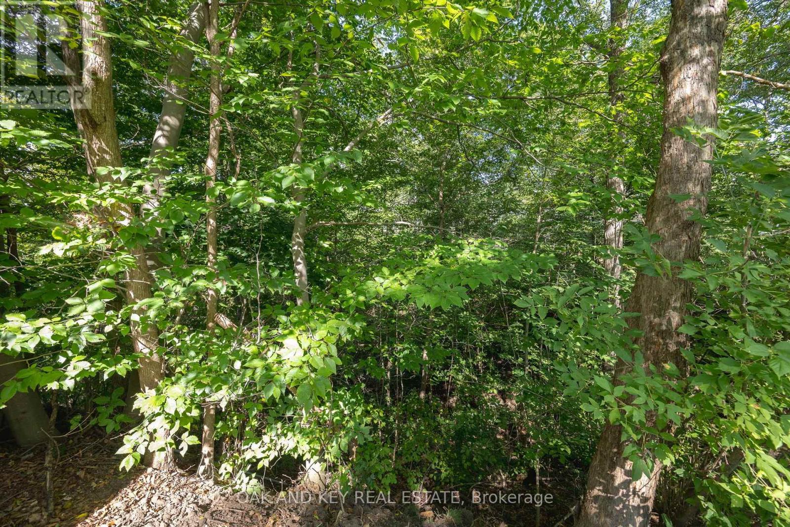 102 Crescent Avenue, Central Elgin, Ontario  N5R 0L4 - Photo 41 - X13784672