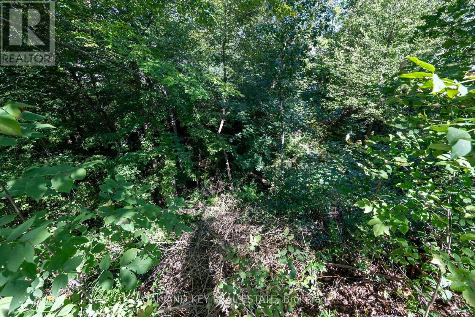 102 Crescent Avenue, Central Elgin, Ontario  N5R 0L4 - Photo 43 - X13784672