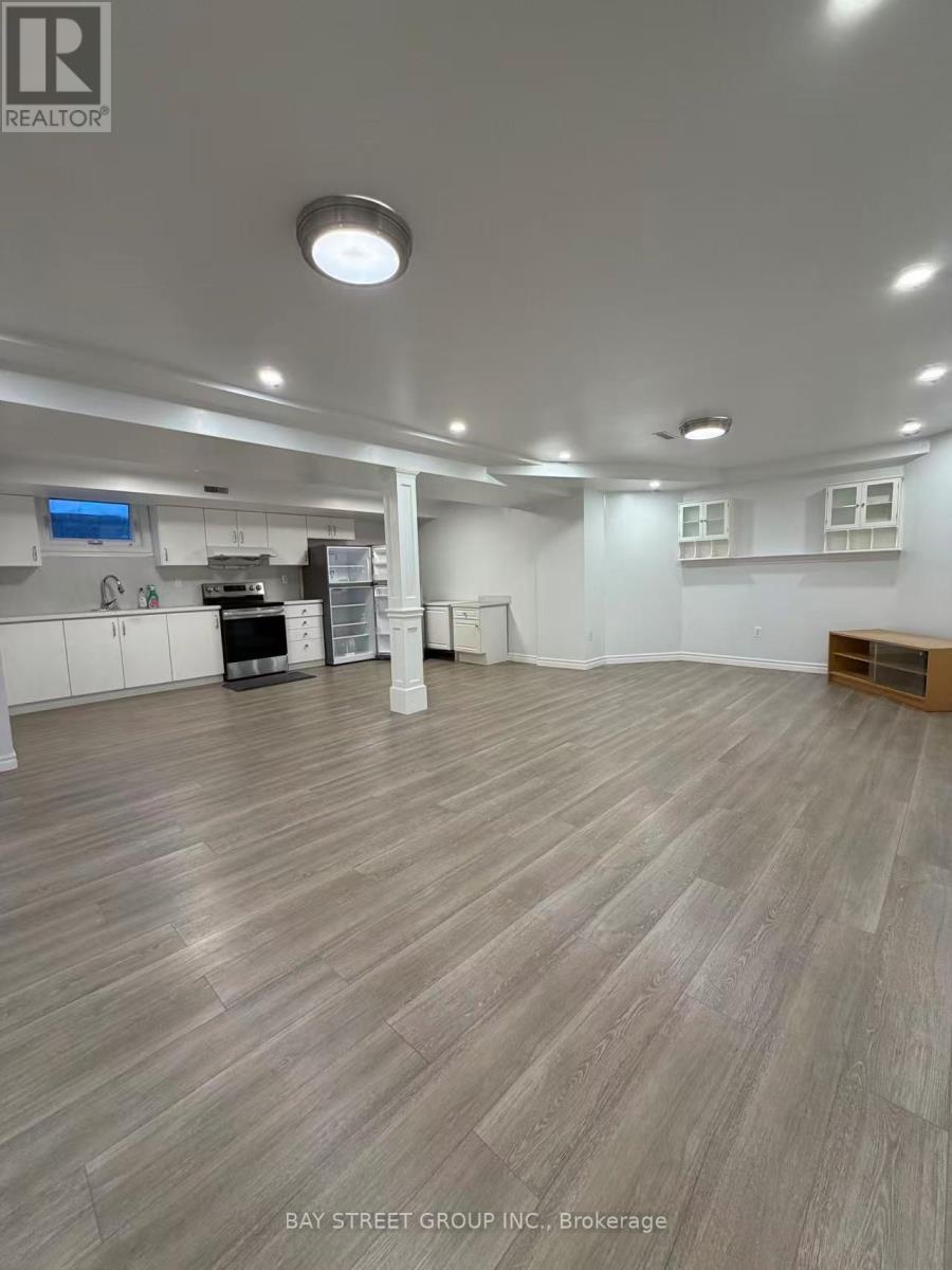 Basement - 185 Manhattan Drive, Markham, Ontario  L3P 7S9 - Photo 8 - N13784654