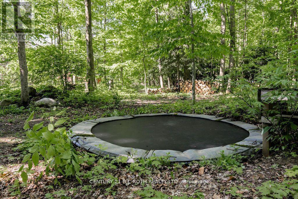 3274 Liah Lane, Innisfil, Ontario  L9S 2B4 - Photo 39 - N13513462
