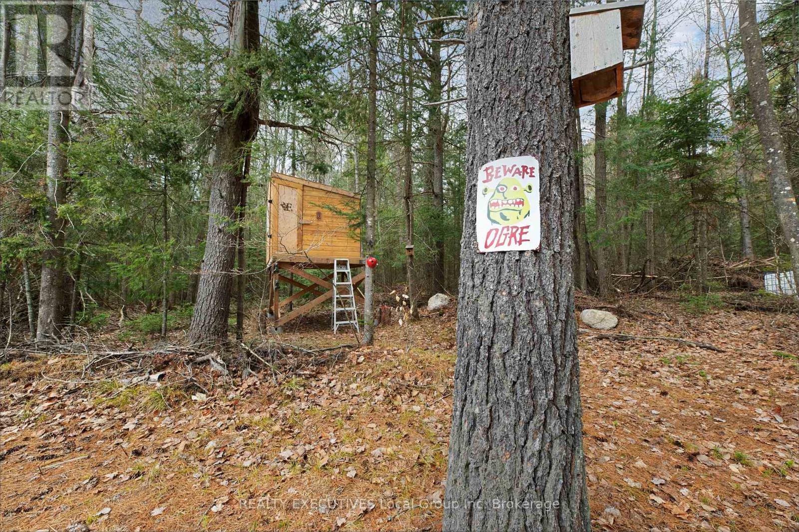 Lot 31 Pioneer Road, Bonfield, Ontario  P0H 2E0 - Photo 36 - X13785176