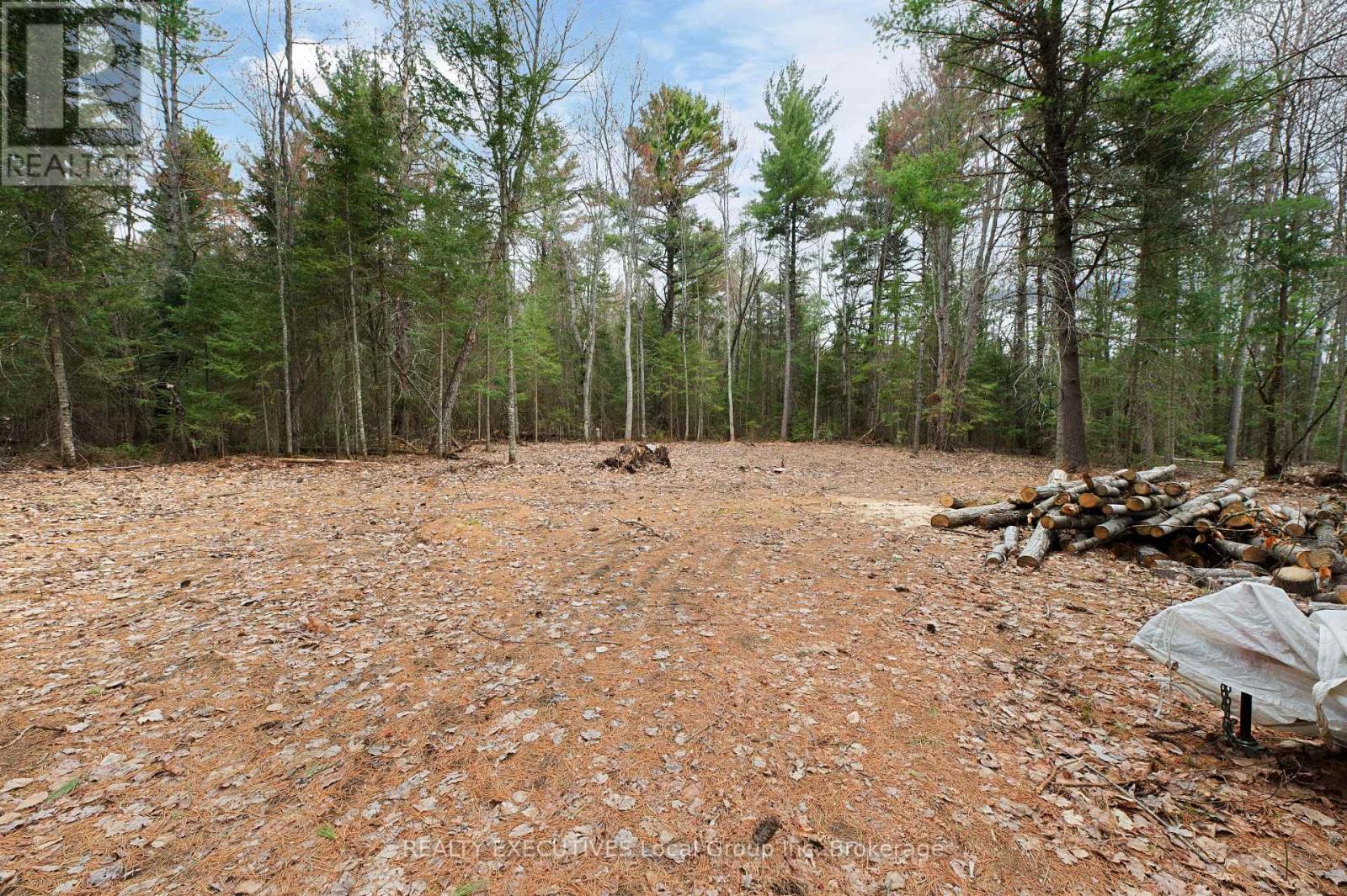 Lot 31 Pioneer Road, Bonfield, Ontario  P0H 2E0 - Photo 37 - X13785176