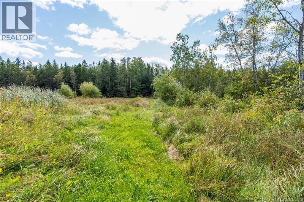3988 Route 106, River Glade, New Brunswick  E4Z 3M2 - Photo 50 - NB147564
