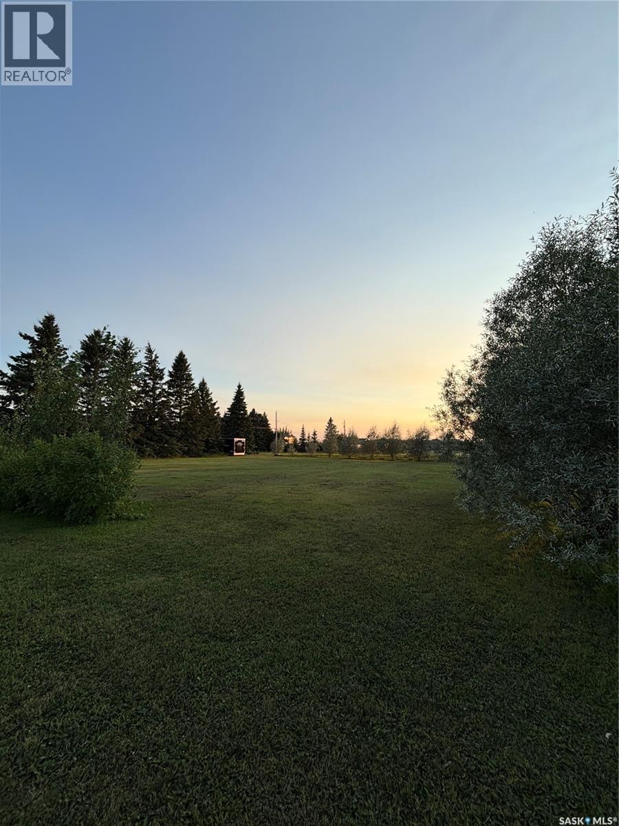 324 Sully Avenue, Orkney Rm No. 244, Saskatchewan  S4N 4K1 - Photo 24 - SK048493
