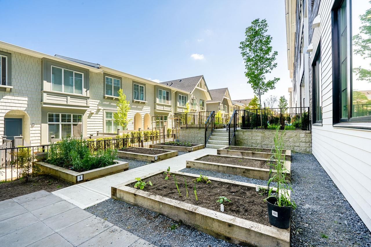 414 13623 81a Avenue, Surrey, British Columbia  V3W 3E2 - Photo 31 - R3165541