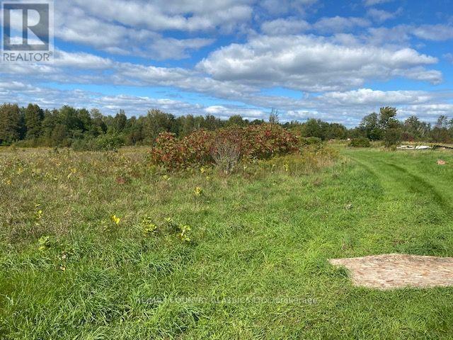 95 Kennedy Road, Carlow/mayo, Ontario  K0L 1G0 - Photo 20 - X13785660