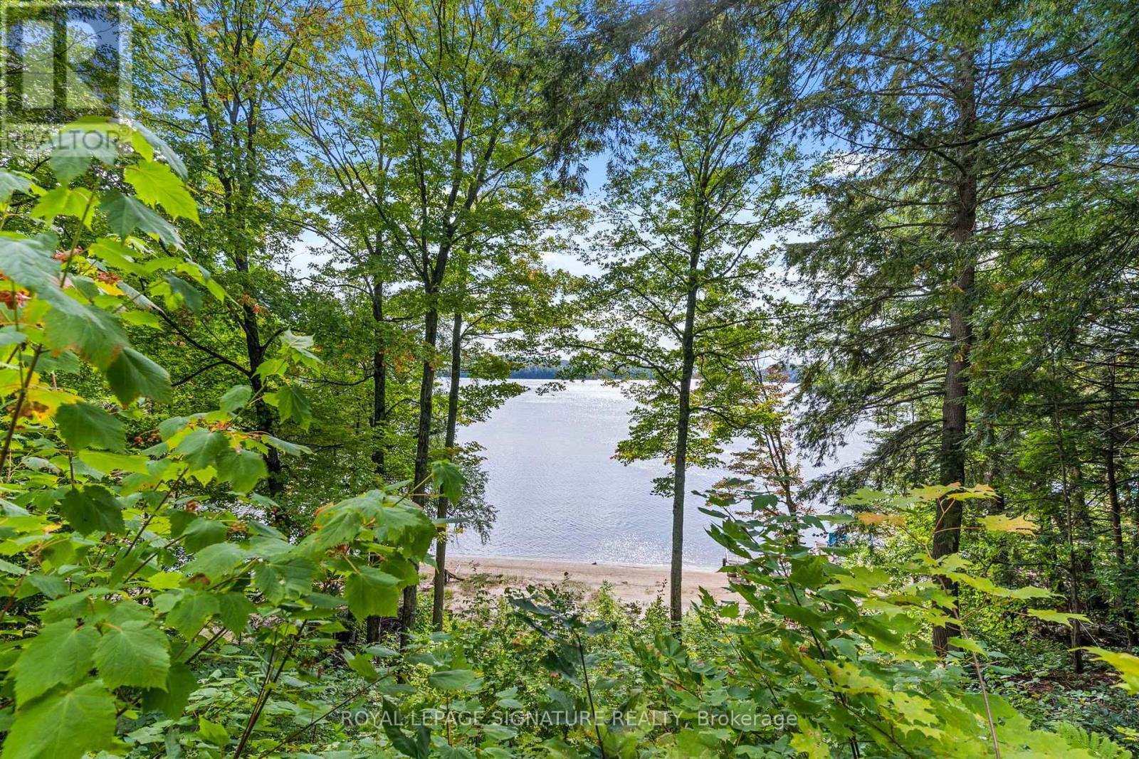 1112 Johnson Bay Road, Dysart Et Al, Ontario  K0M 1S0 - Photo 4 - X13785756