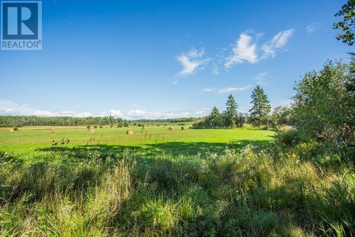 237 MacLennan RD|Laird Township photo 43