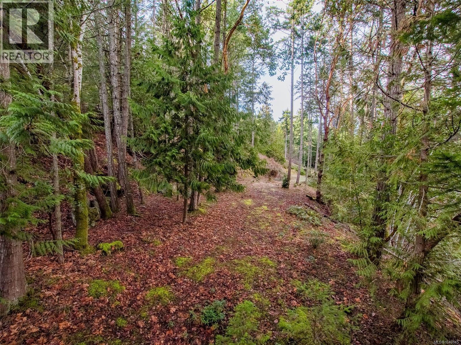 picture 26