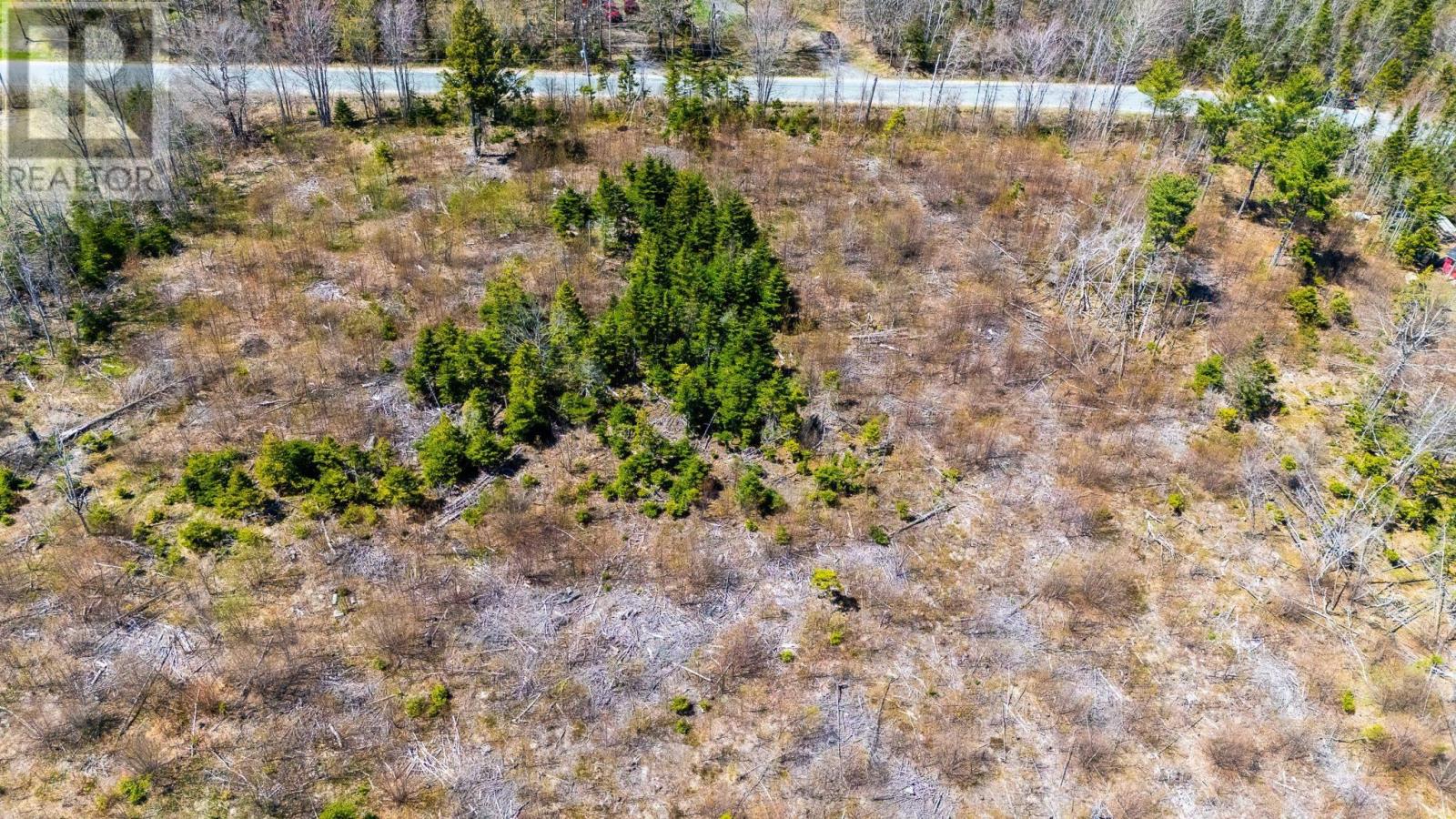 Lot Newtonville Road, Forest Hill, Nova Scotia B4P 2R1 - Photo 5 - 202609332