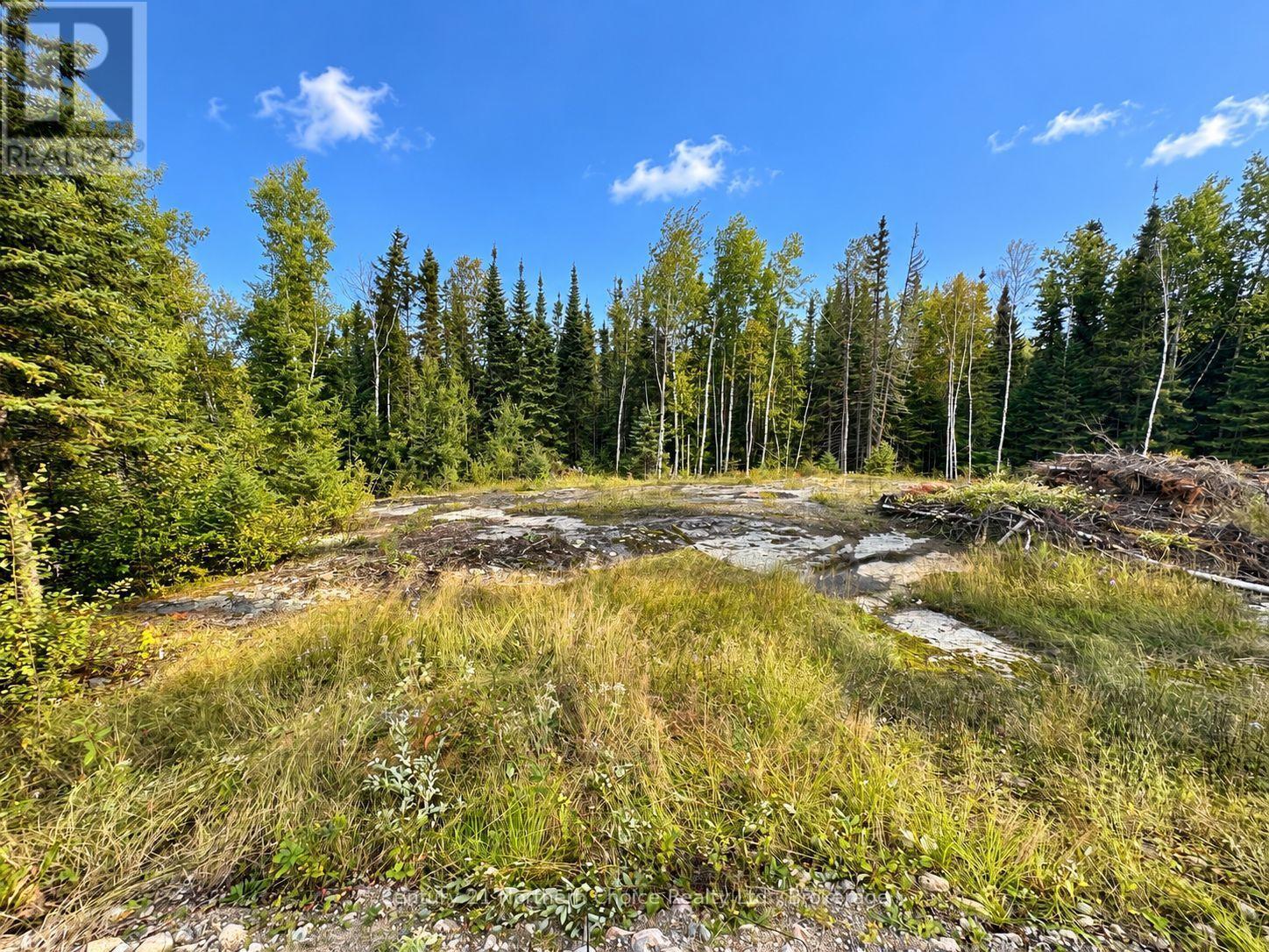 53 MCMANUS STREET, Red Lake, Ontario
