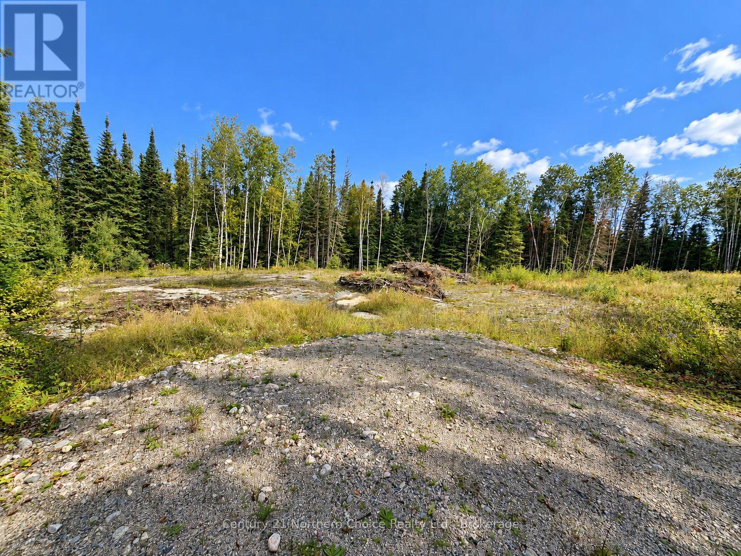 53 Mcmanus Street, Red Lake, Ontario  P0V 1C0 - Photo 3 - X13765912