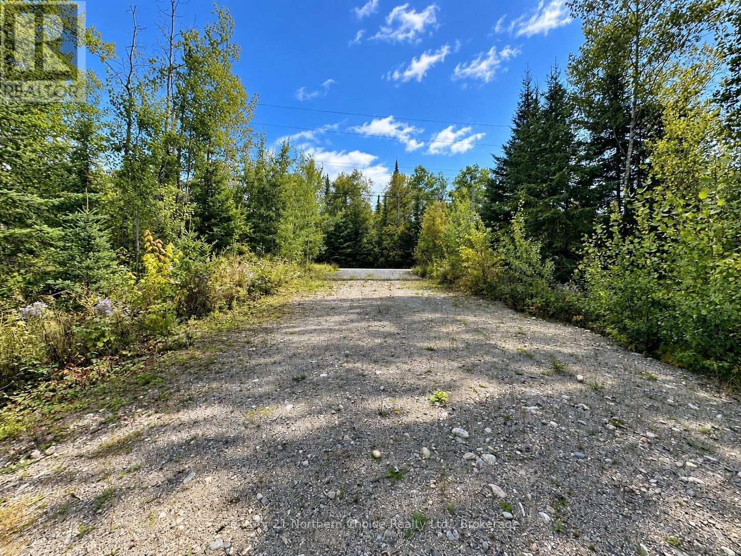 53 Mcmanus Street, Red Lake, Ontario  P0V 1C0 - Photo 4 - X13765912
