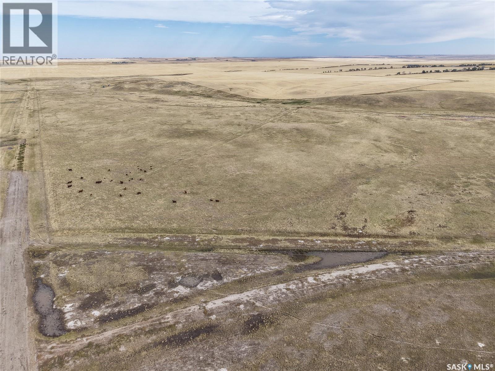 531.43 Acres Mixed Use Land Near Willow Bunch, Willow Bunch Rm No. 42, Saskatchewan  S0H 4K0 - Photo 6 - SK048533