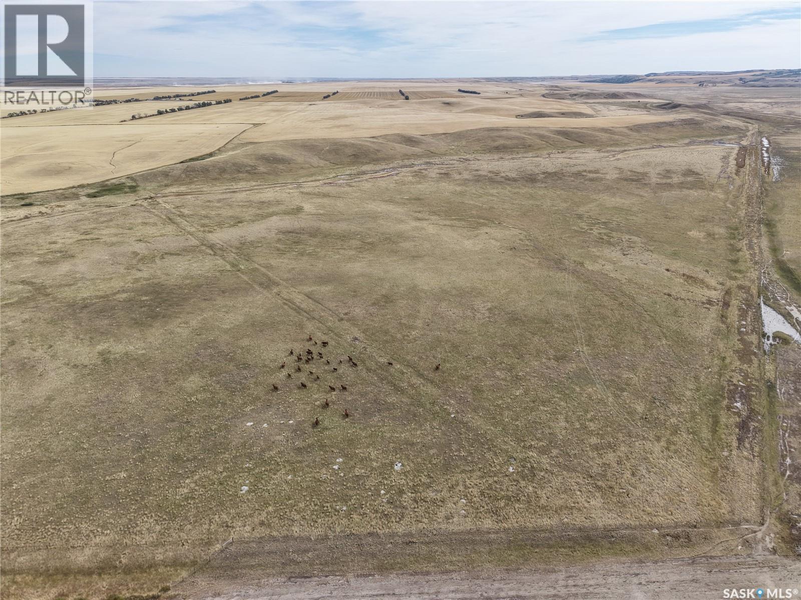 531.43 Acres Mixed Use Land Near Willow Bunch, Willow Bunch Rm No. 42, Saskatchewan  S0H 4K0 - Photo 8 - SK048533