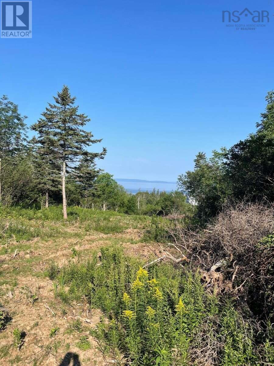 14764 Highway 4, Johnstown, Nova Scotia  B0E 3B0 - Photo 3 - 202623363