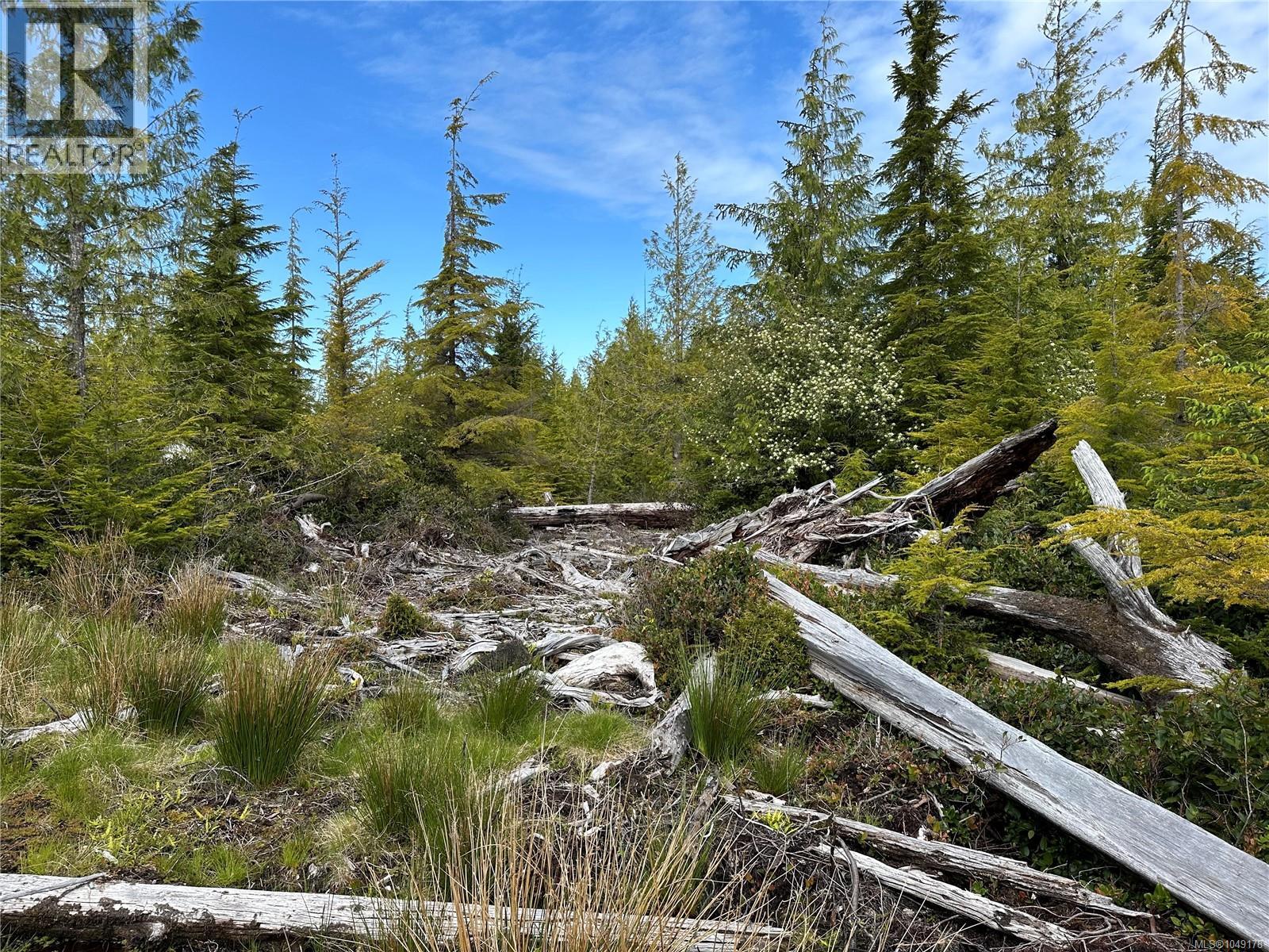 LT 15 Mitchell Bay Rd photo 41