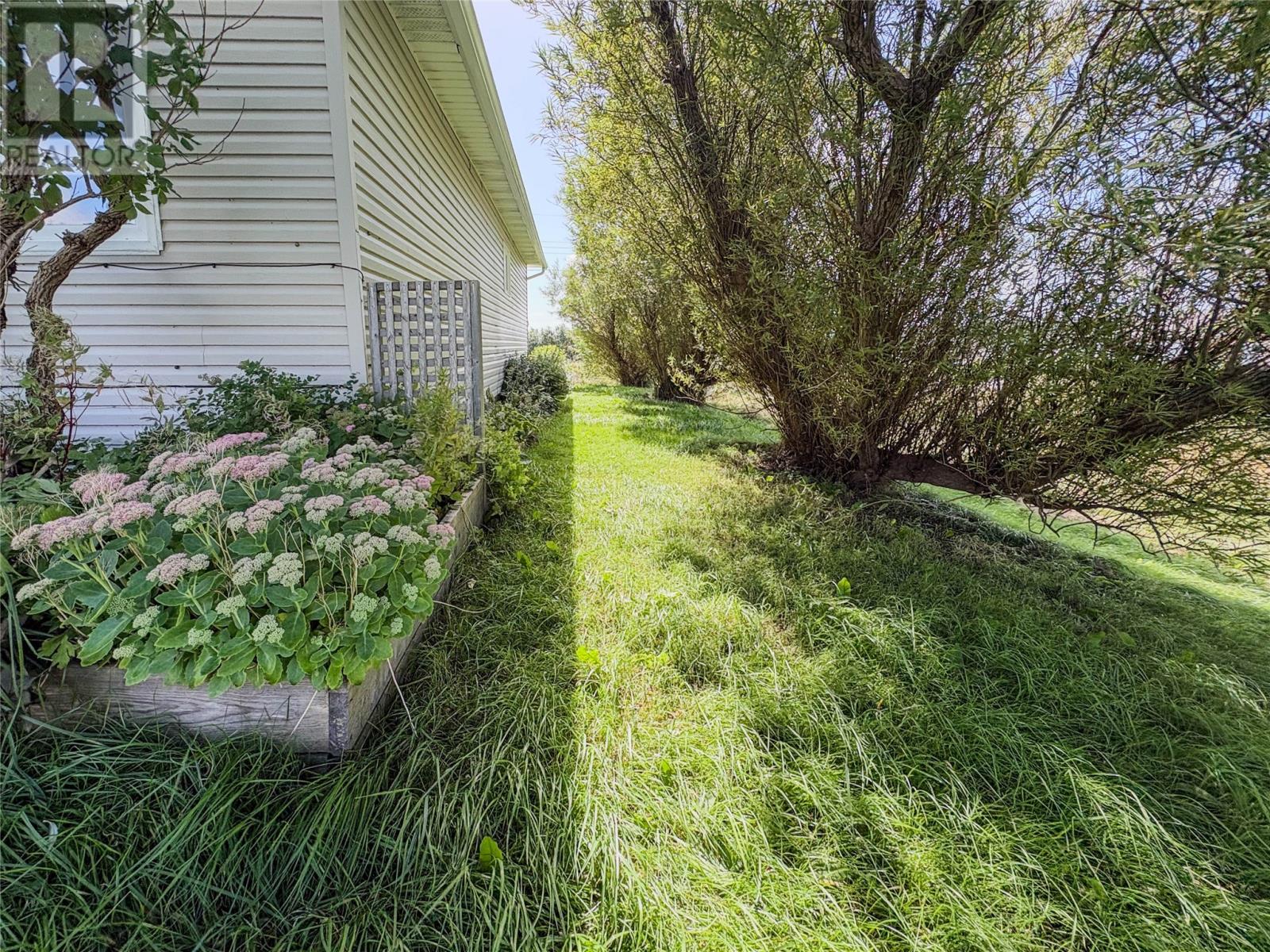 53 Park Drive, Trepassey — photo 15