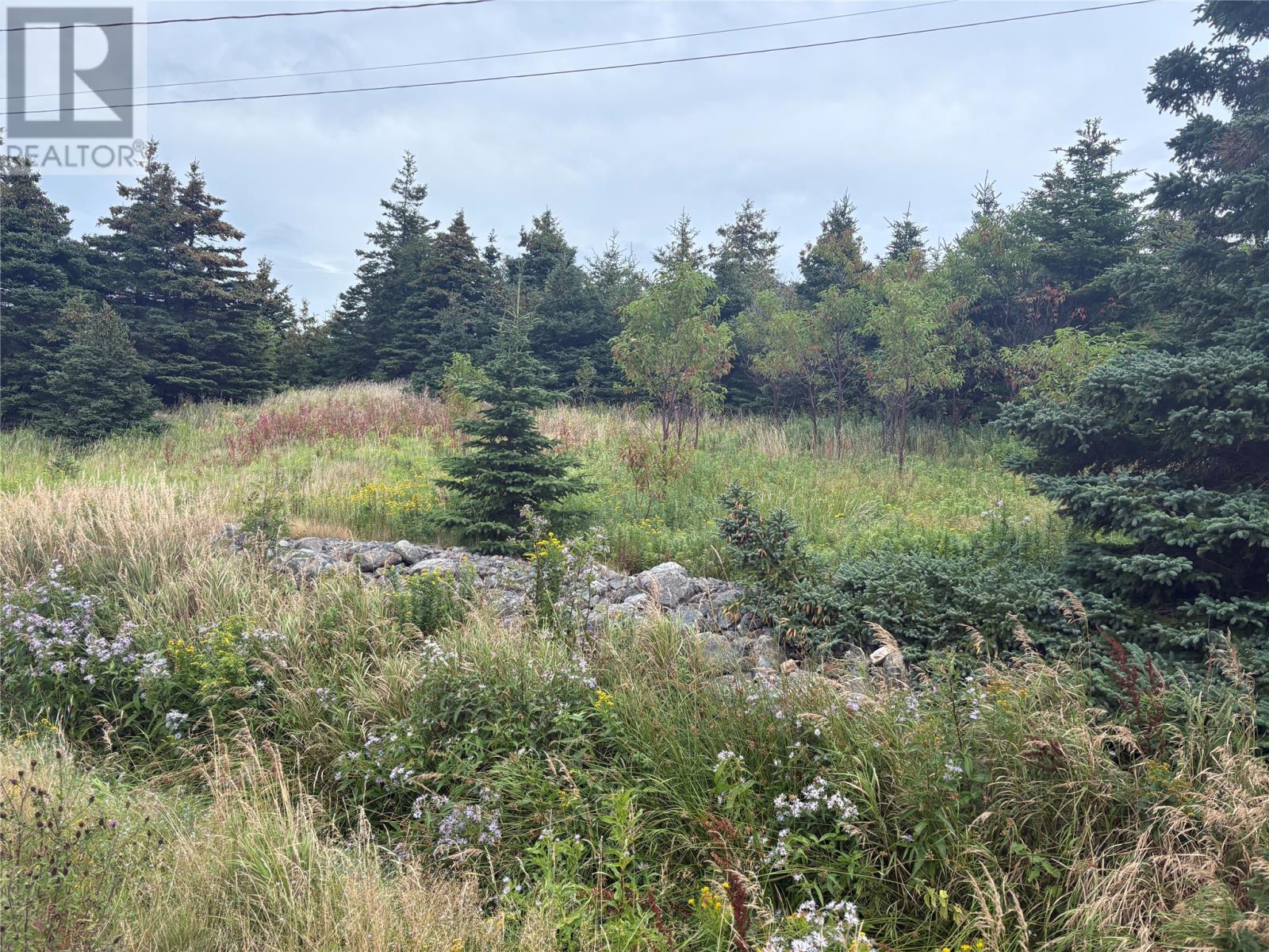 7-15 Connors Lane, Pouch Cove — photo 4