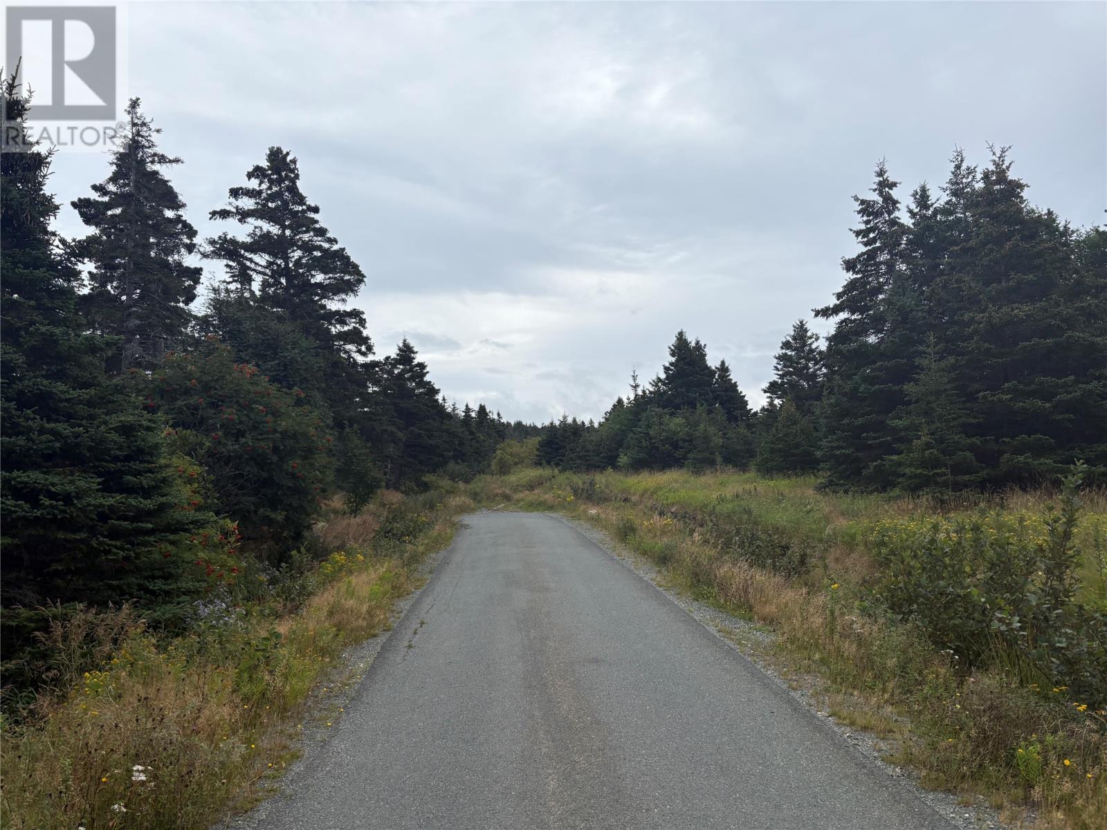 7-15 Connors Lane, Pouch Cove — photo 5